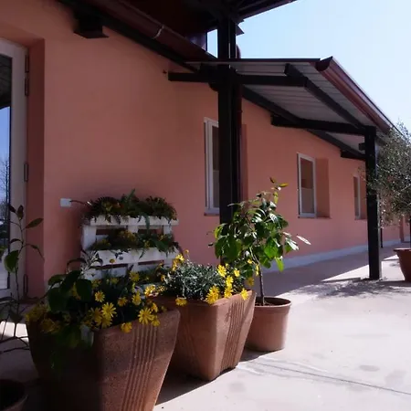 بيت ضيافة Iter Greenhouse